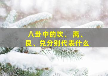 八卦中的坎、 离、艮、兑分别代表什么